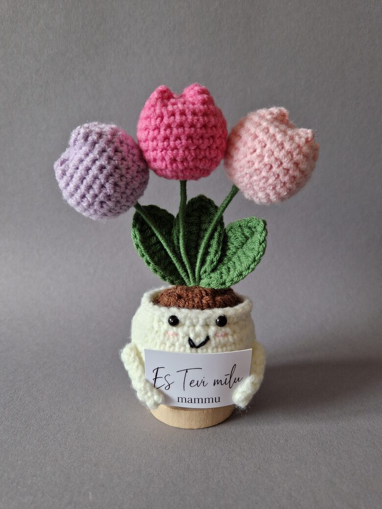 Dāvana mammai “Es tevi mīlu mammu!”