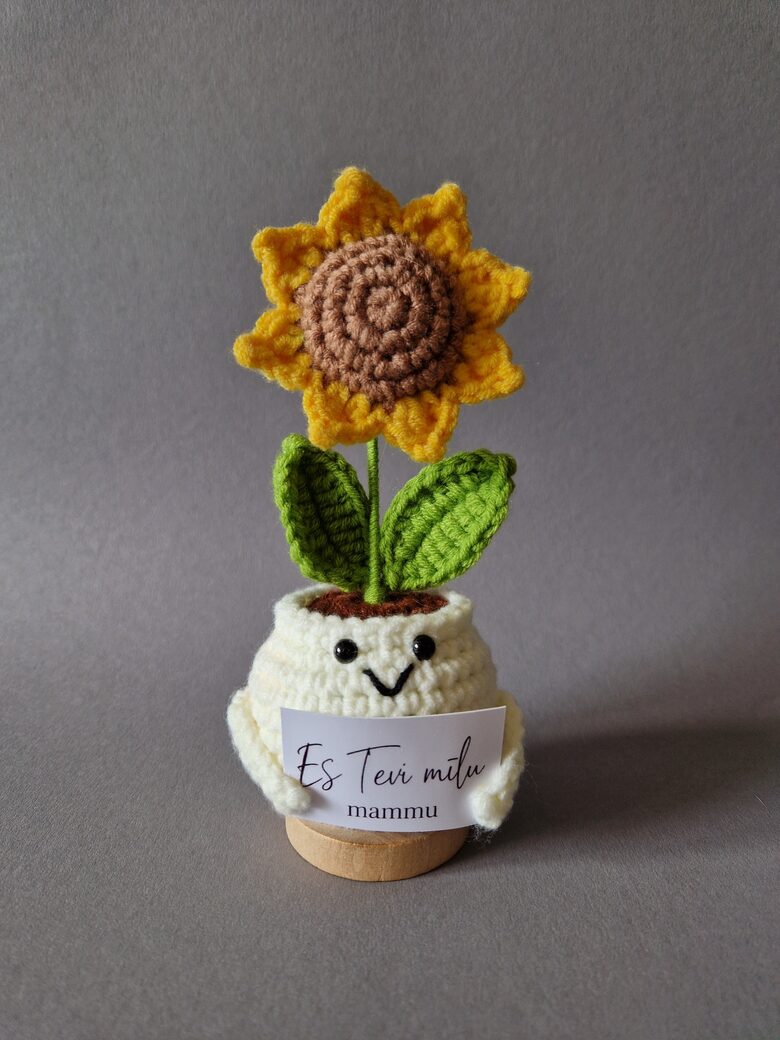 Dāvana mammai “Es tevi mīlu mammu!”