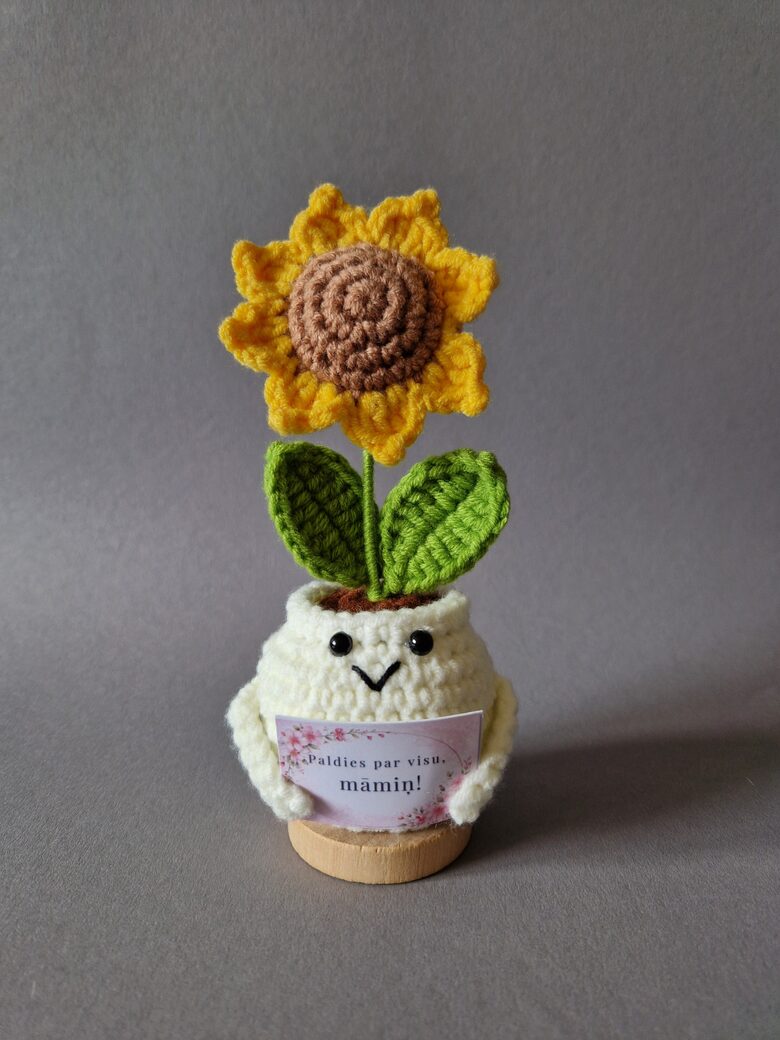 Dāvana mammai “Paldies par visu, māmiņ!”