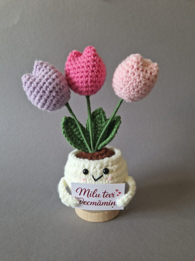 Dāvana vecmāmiņai “Mīlu tevi vecmāmiņ!”