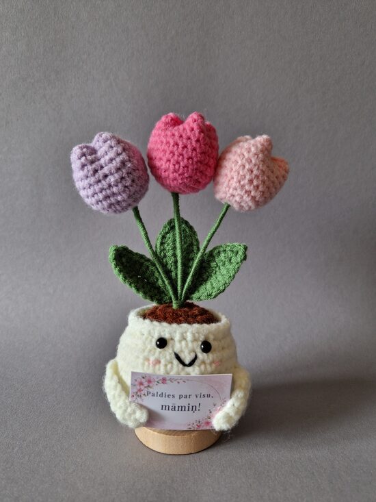 Dāvana mammai “Paldies par visu, māmiņ!”