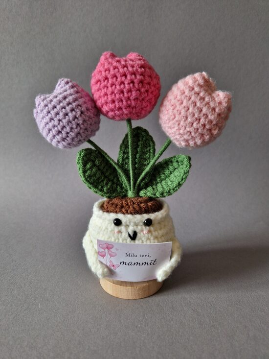 Dāvana mammai “Mīlu tevi, mammīt!”