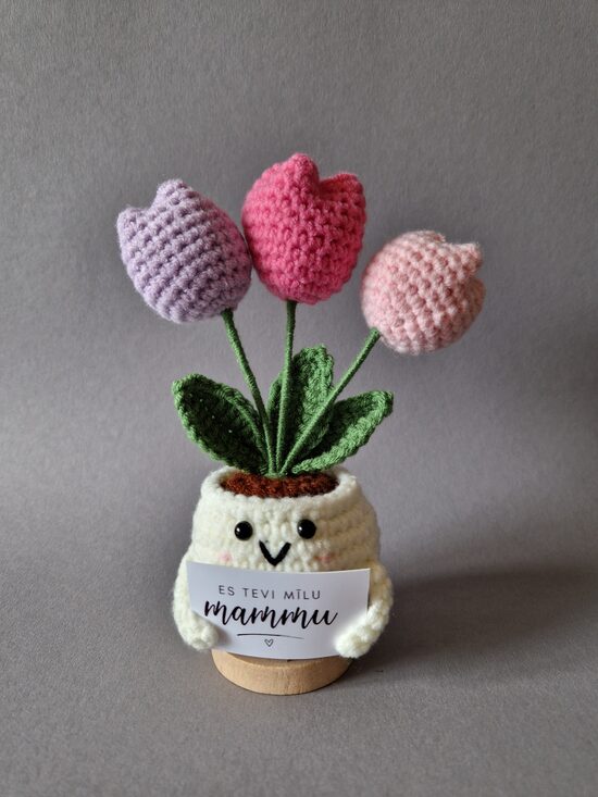 Dāvana mammai “Es tevi mīlu mammu!”