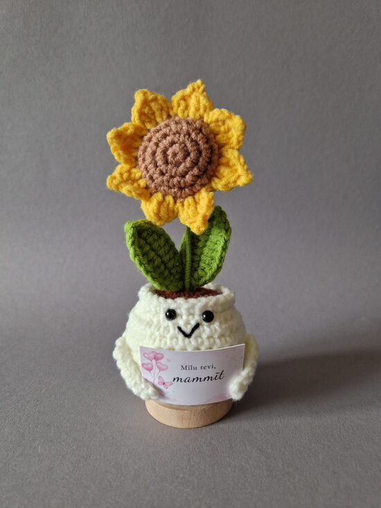 Dāvana mammai “Mīlu tevi, mammīt!”