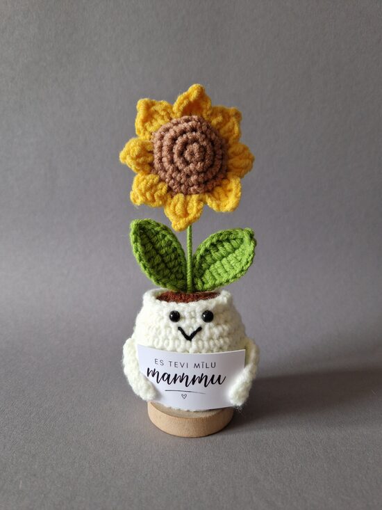 Dāvana mammai “Es tevi mīlu mammu!”