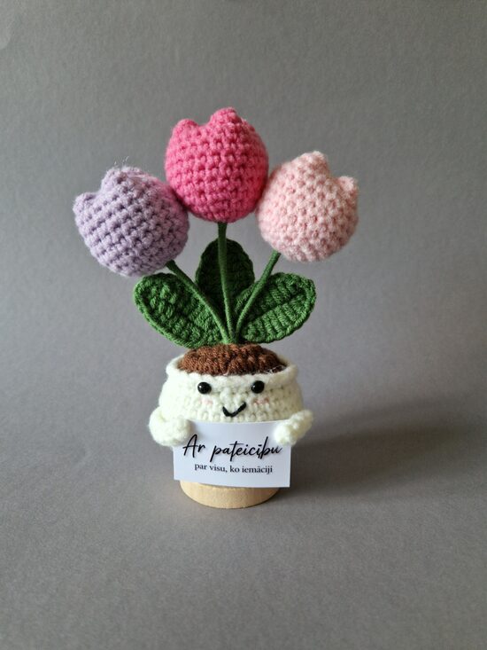 Tamborēts tulpju podiņš ar kartiņu "Ar pateicību par visu ko iemācīji!"