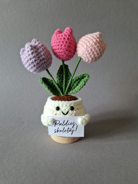 Tamborēts tulpju podiņš ar kartiņu "Paldies skolotāj!"