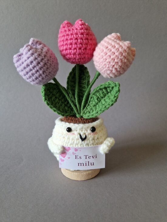 Tamborēts tulpju podiņš ar kartiņu "Es Tevi mīlu!"