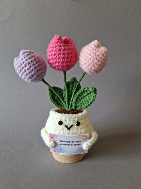 Tamborēts tulpju podiņš ar kartiņas "Daudz laimes dzimšanas dienā!"
