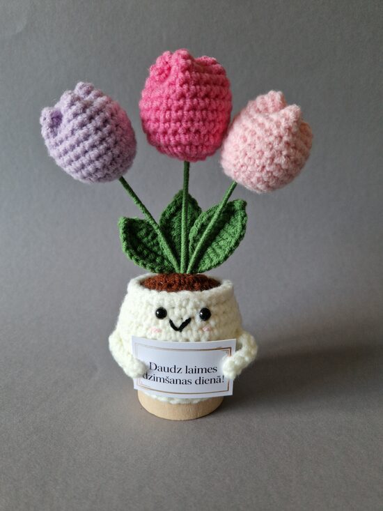 Tamborēts tulpju podiņš ar kartiņu "Daudz laimes dzimšanas dienā!"