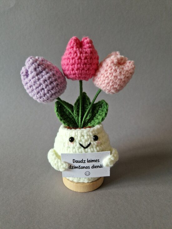 Tamborēts tulpju podiņš ar kartiņas "Daudz laimes dzimšanas dienā!"