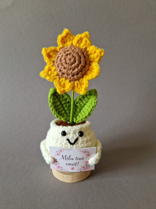 Dāvana vecmāmiņai “Mīlu tevi omīt!”