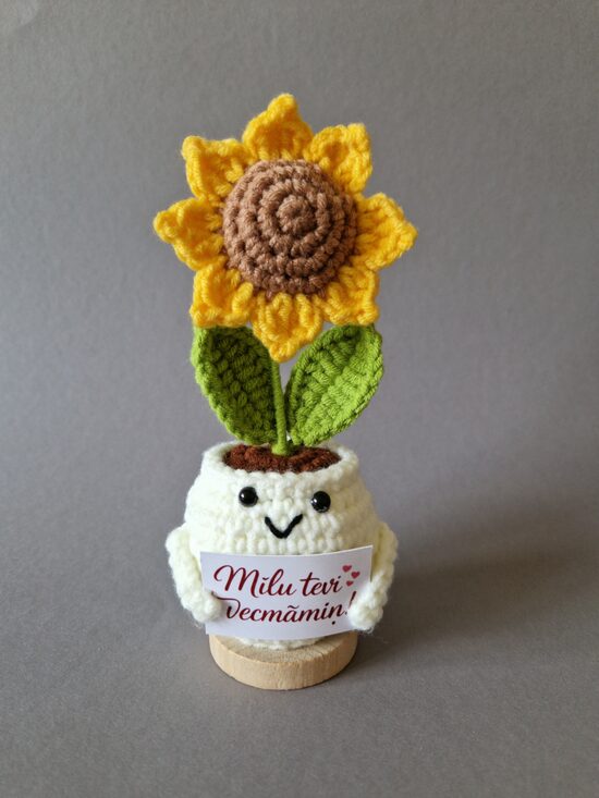 Dāvana vecmāmiņai “Mīlu tevi vecmāmiņ!”