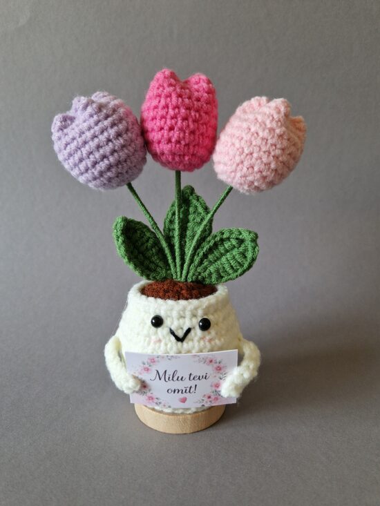 Dāvana vecmāmiņai “Mīlu tevi omīt!”