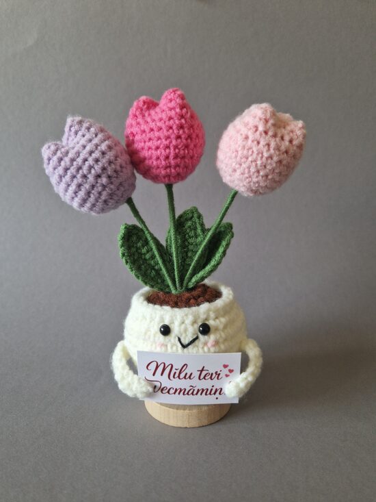 Dāvana vecmāmiņai “Mīlu tevi vecmāmiņ!”